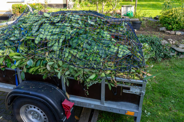 Best Furniture Removal  in Cortland, NY